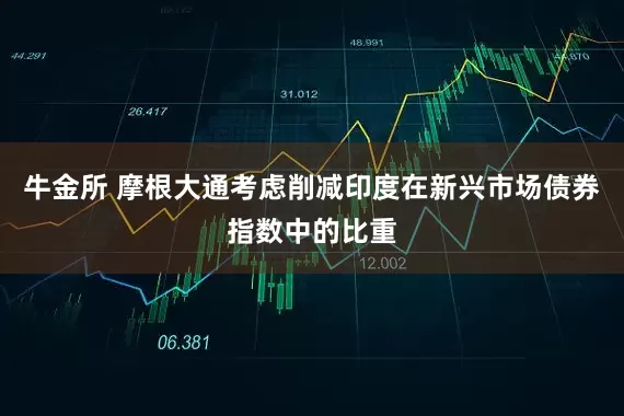 牛金所 摩根大通考虑削减印度在新兴市场债券指数中的比重