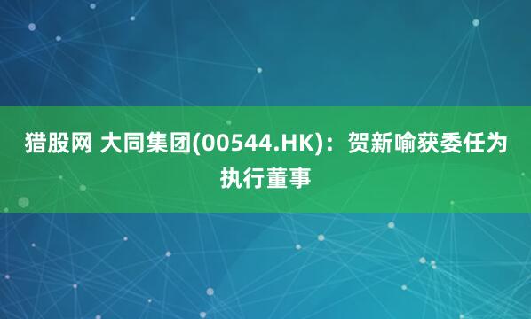 猎股网 大同集团(00544.HK)：贺新喻获委任为执行董事