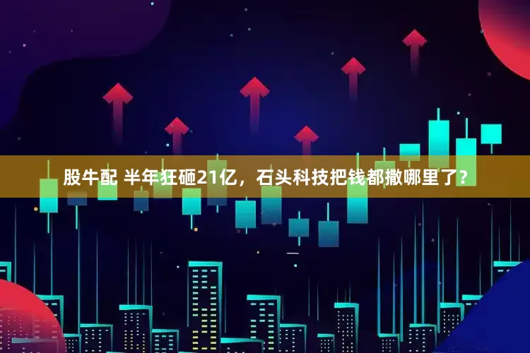 股牛配 半年狂砸21亿，石头科技把钱都撒哪里了？